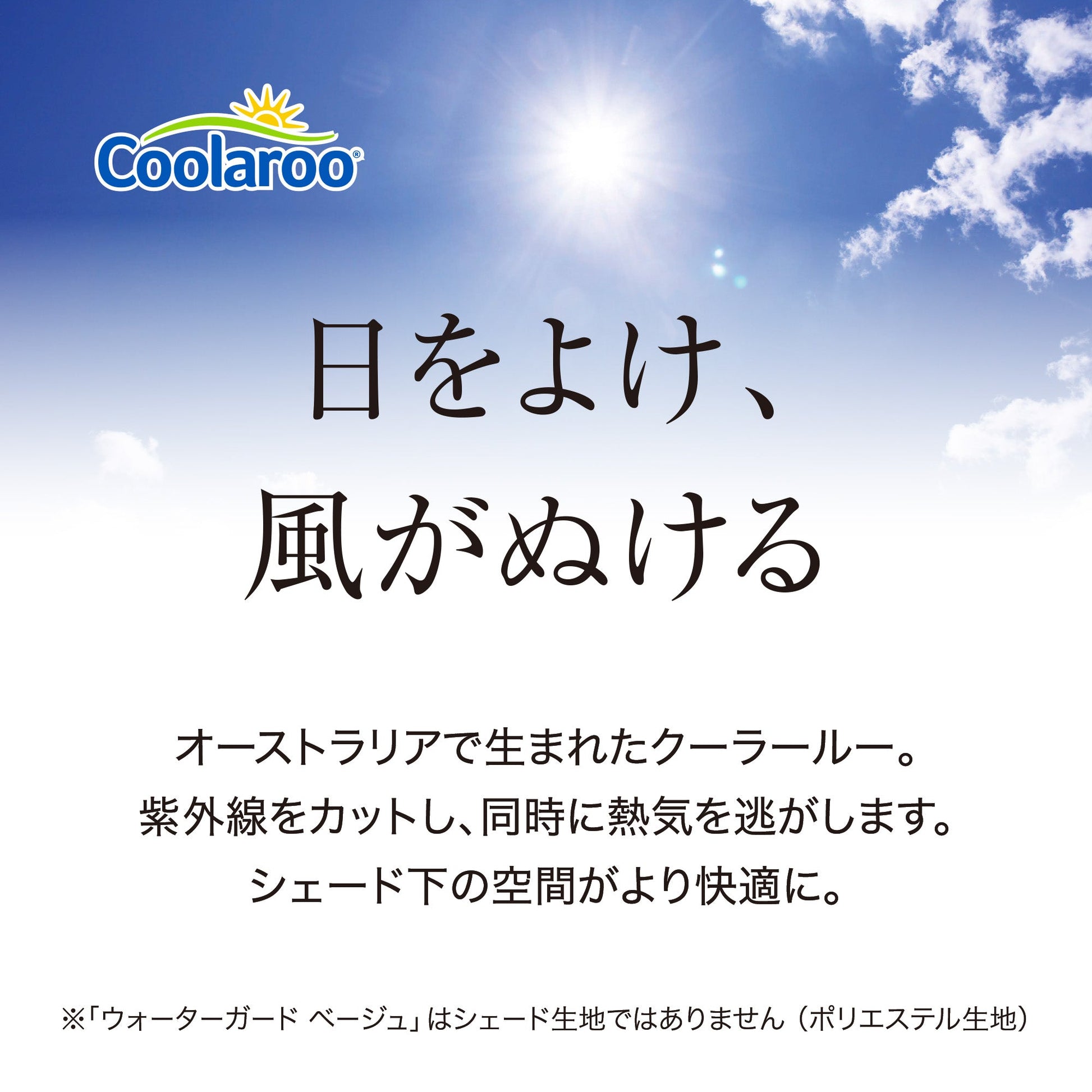 クールサマーオーニング 2000_日をよけ、風がぬける